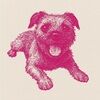 thedogpark